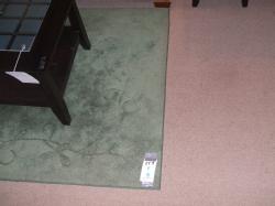 DSCF9562