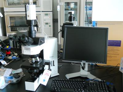 BLot256
