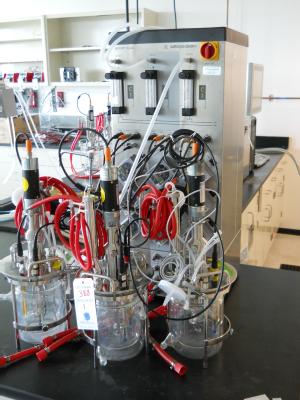 BLot388a