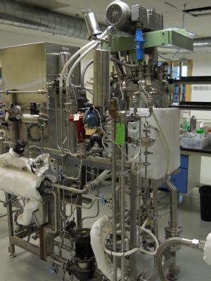 BLot399b