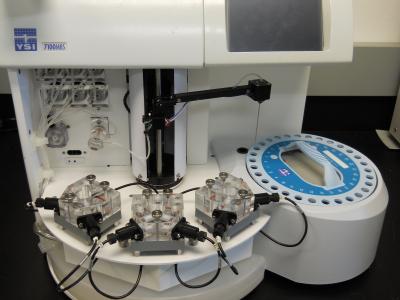 BLot437a