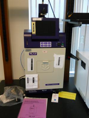 BLot509