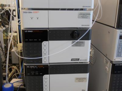 BLot584d