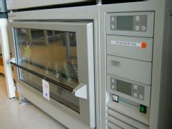 Blot228