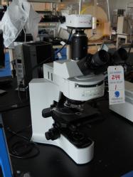 BLot224a
