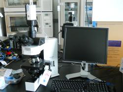 BLot256