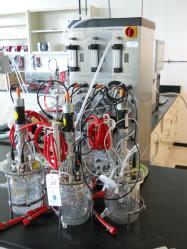 BLot388a