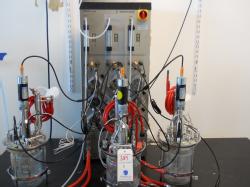 BLot389