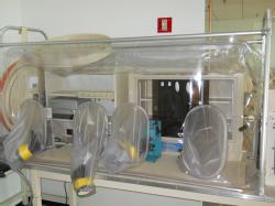 BLot396