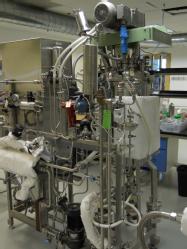 BLot399b
