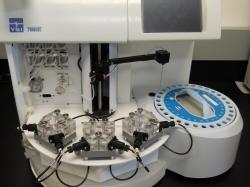 BLot437a