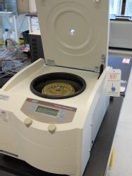 BLot521