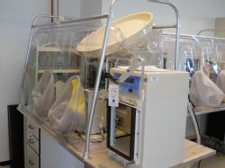 BLot536