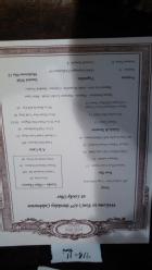 Bonus 005