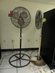 SAM_0980