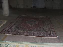 DSCF4841