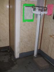 DSCF5181