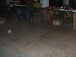 DSCF5309