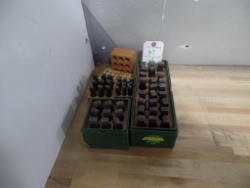 SAM_0588