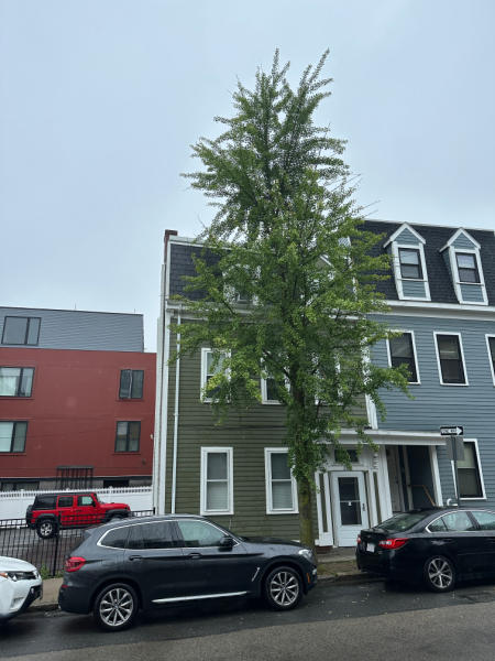 South Boston, MA - Multi- Family Home